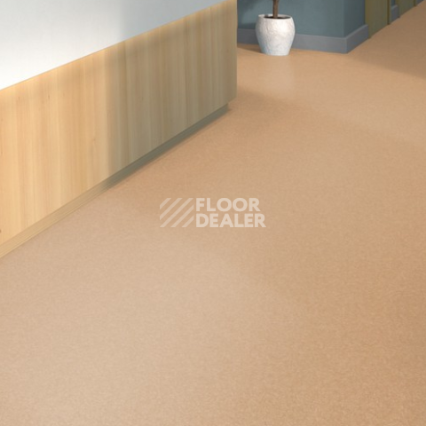 Tarkett iq Melodia 2620 фото 2 | FLOORDEALER